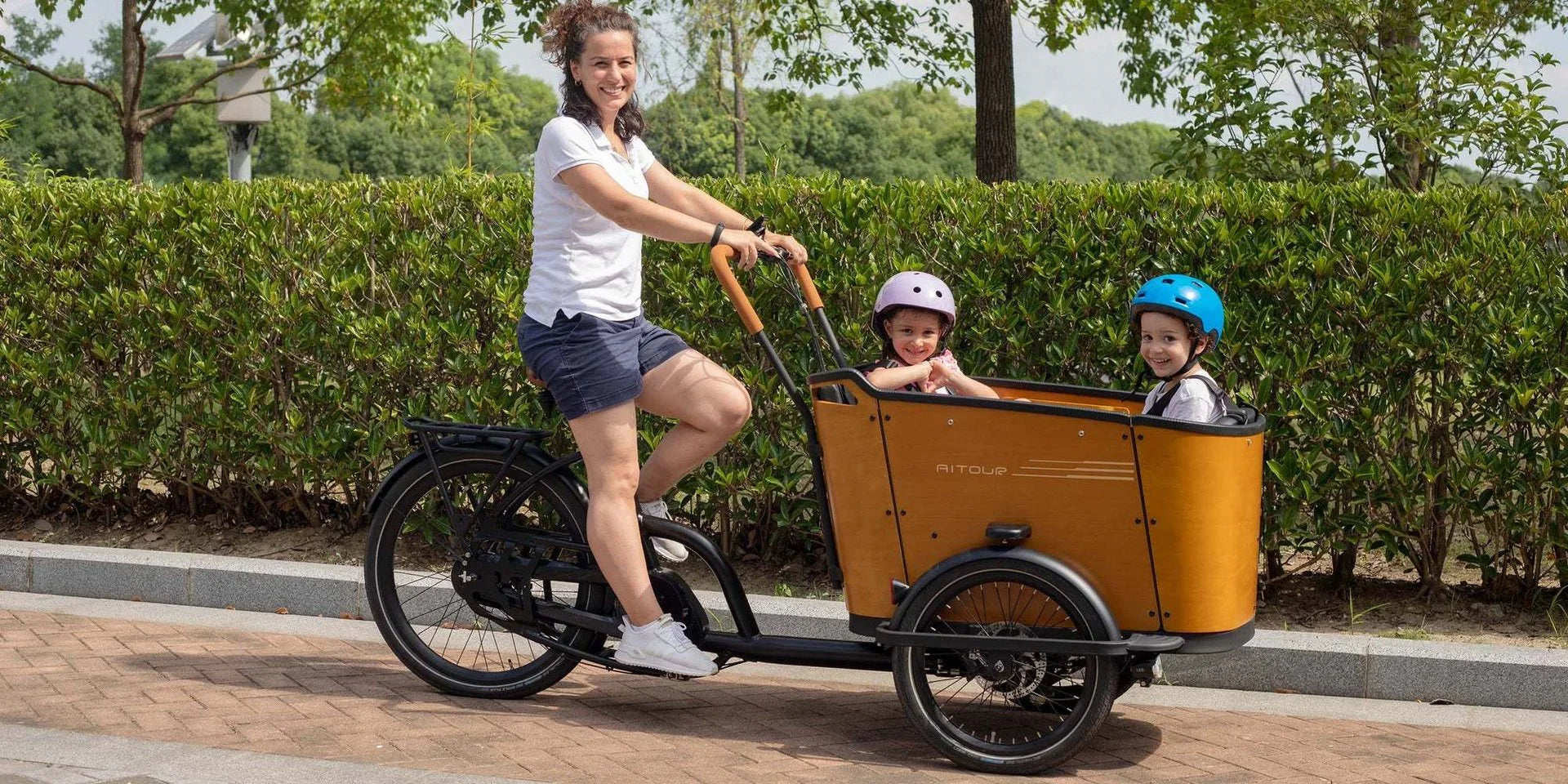 author fahrrad kaufen AiTour Family C 640Wh Enviolo Heavy Duty Elektro 110NM Mittelmotor Las – fahrrad-Ass.de