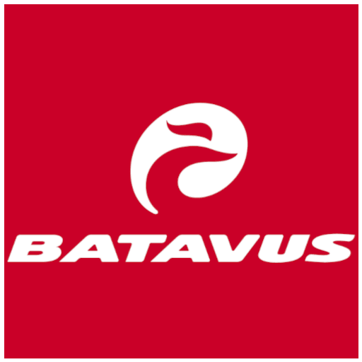 Batavus - fahrrad-Ass.de