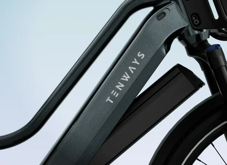 tenways fahrradanhänger TENWAYS E-CARGO Long Tail Duo Spezial Lastenrad 720 Wh Akku 80 Nm Mitt – fahrrad-Ass.de