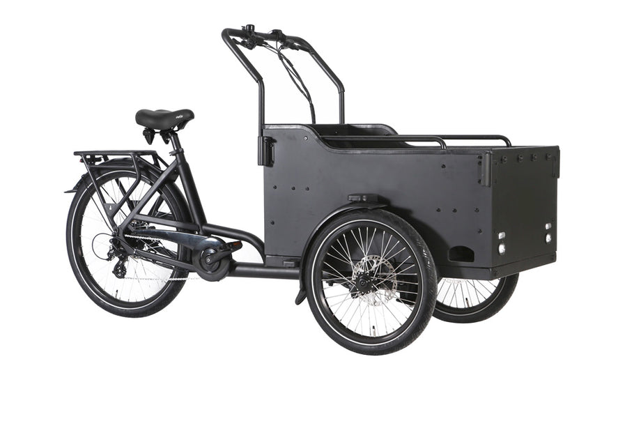 Neu 2026 - Elektro Lastenrad Raaks Bremerton