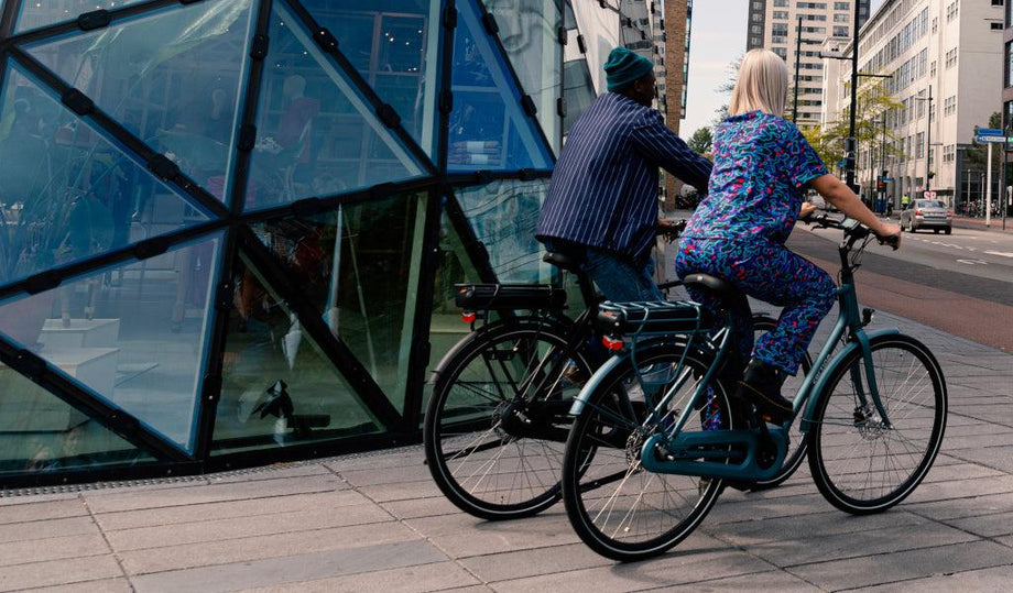 Fahrrad Online Shop - Transport, E-Bikes und mehr - fahrrad-Ass.de