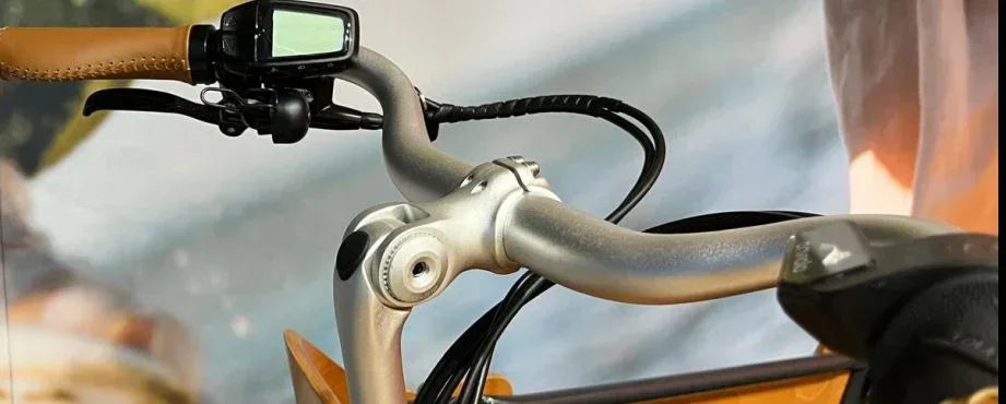 fahrrad xxl babboe Sofort Lieferbar