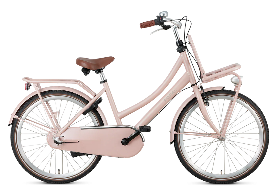 24 Zoll 3 Gang Hollandrad Daily Dutch Plus Lachs mit Frontträger –  fahrrad-Ass.de