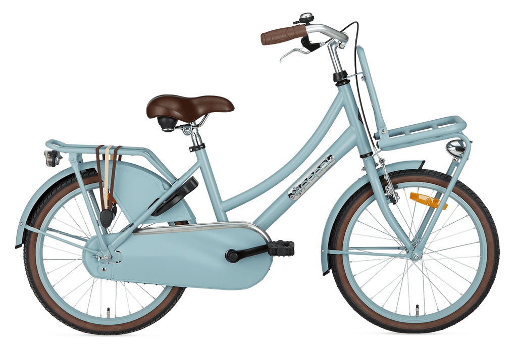 20 Zoll Hollandrad blau matt Daily Dutch mit Frontträger - fahrrad-Ass.de