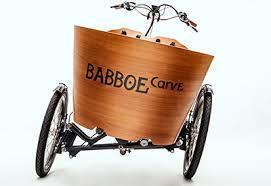 Komplettangebot Babboe Carve-E 7 Gang Shimano Nexus 3-Rad braun Inkl. Regenzelt - fahrrad-Ass.de