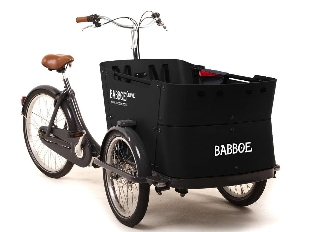 Babboe E-Curve schwarz 3-Rad Lastenrad, Kindertransportrad inkl. Regenzelt - fahrrad-Ass.de